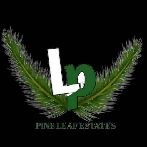 Pineleaf estate company consultant 