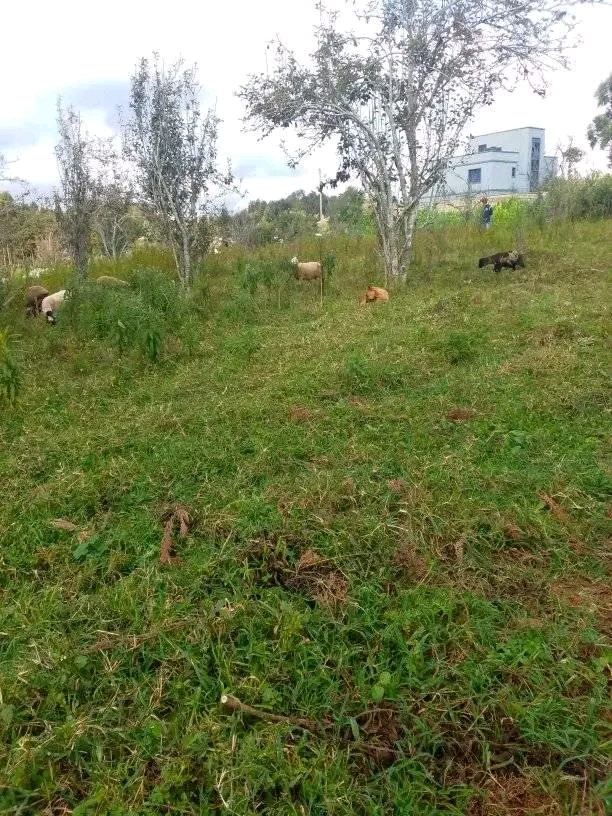 Located in Kajiado off the Isinya highway, prime land for sale at Kes. 5700,000 per acre 