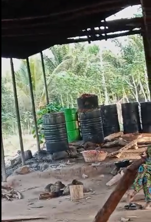 Palm Plantation Farm For Sale in Oyedeji, Nigeria.png