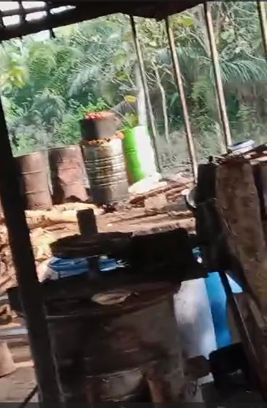 Palm Plantation Farm For Sale in Oyedeji, Nigeria00.png