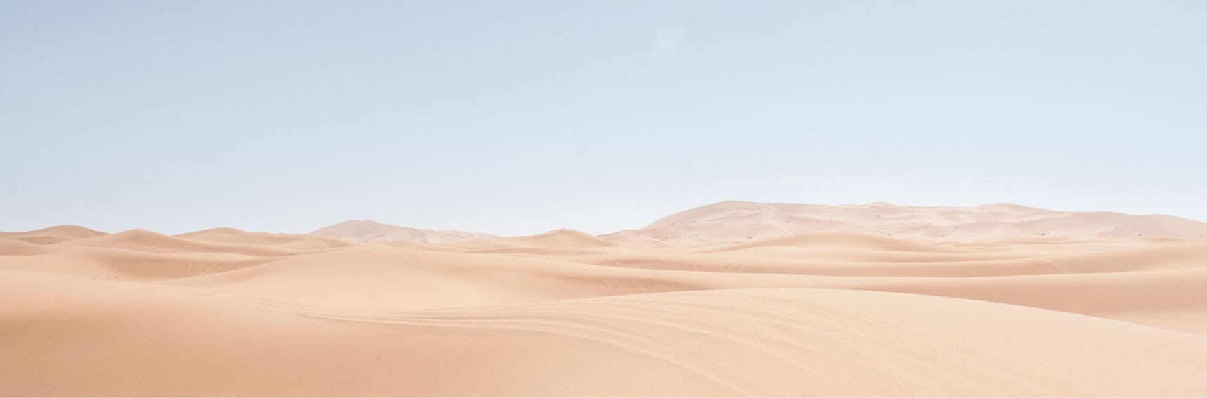 Real estate coupon-qroople-404 Header